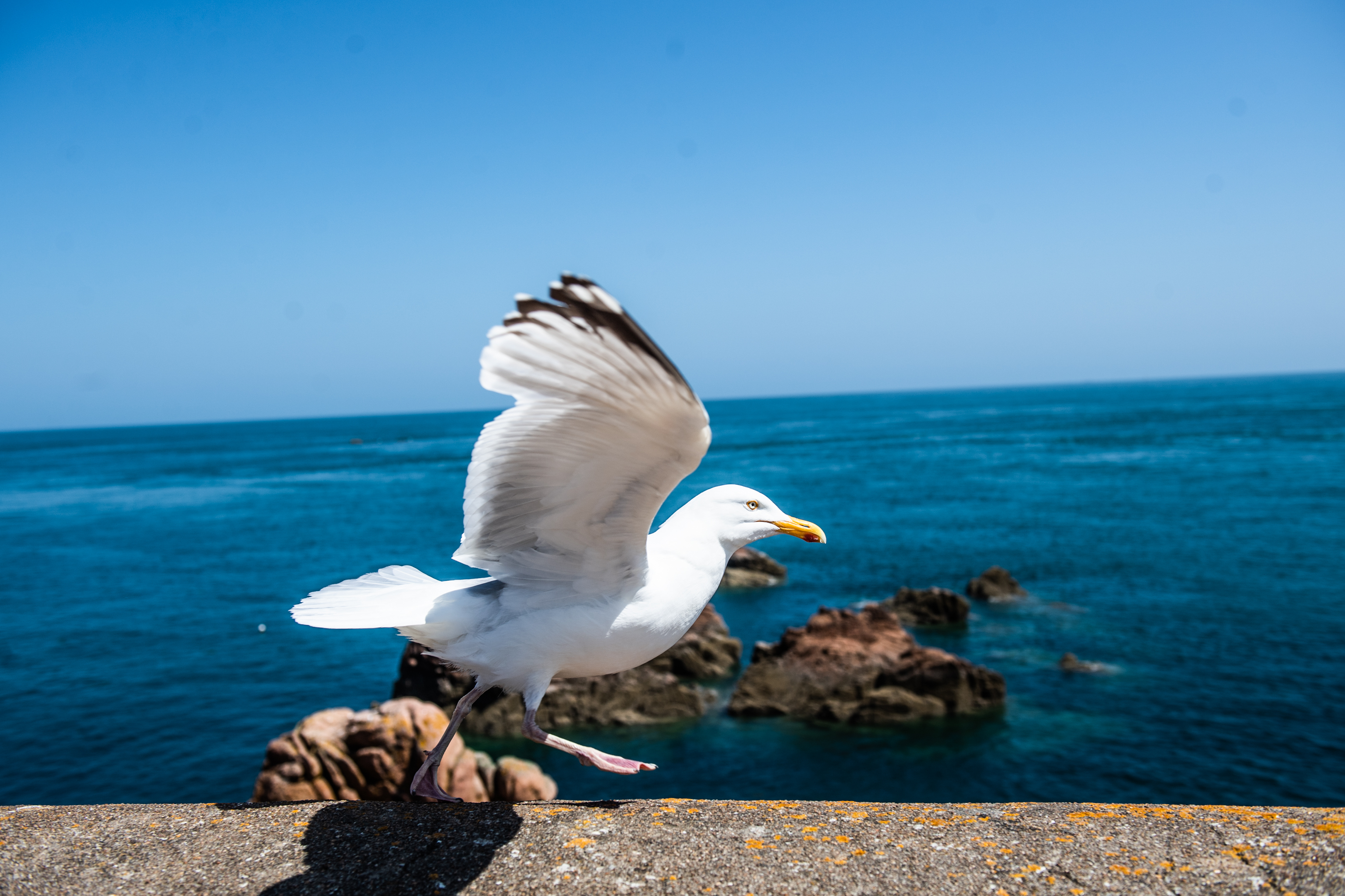 20180626BRETAGNE 96